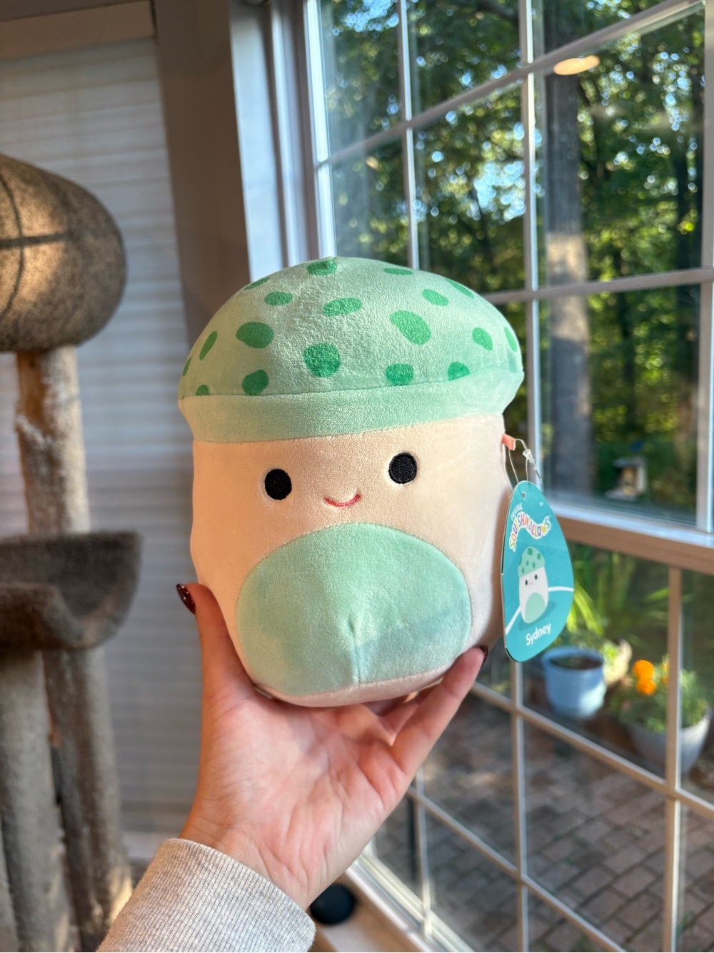 Sydney the green mushroom squishmallow NWT 8in